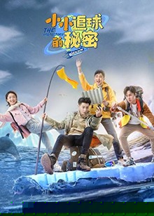 小小追球的秘密