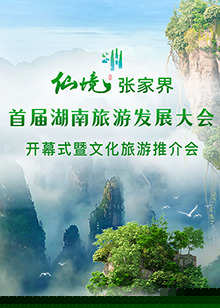 首届湖南旅游发展大会开幕式暨文化旅游推介会