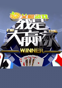 我是大赢家2017